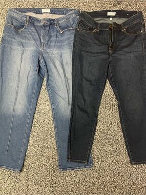 Lane Bryant Midwash and Dark Wash Skinny Jeans